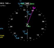 737NG Navigation Display (in CTR Mode)