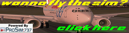 Want To Fly The 737Ng - Click Here