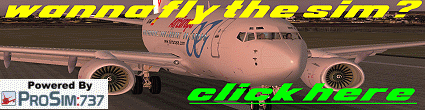 Want To Fly The Sim? - Click Here